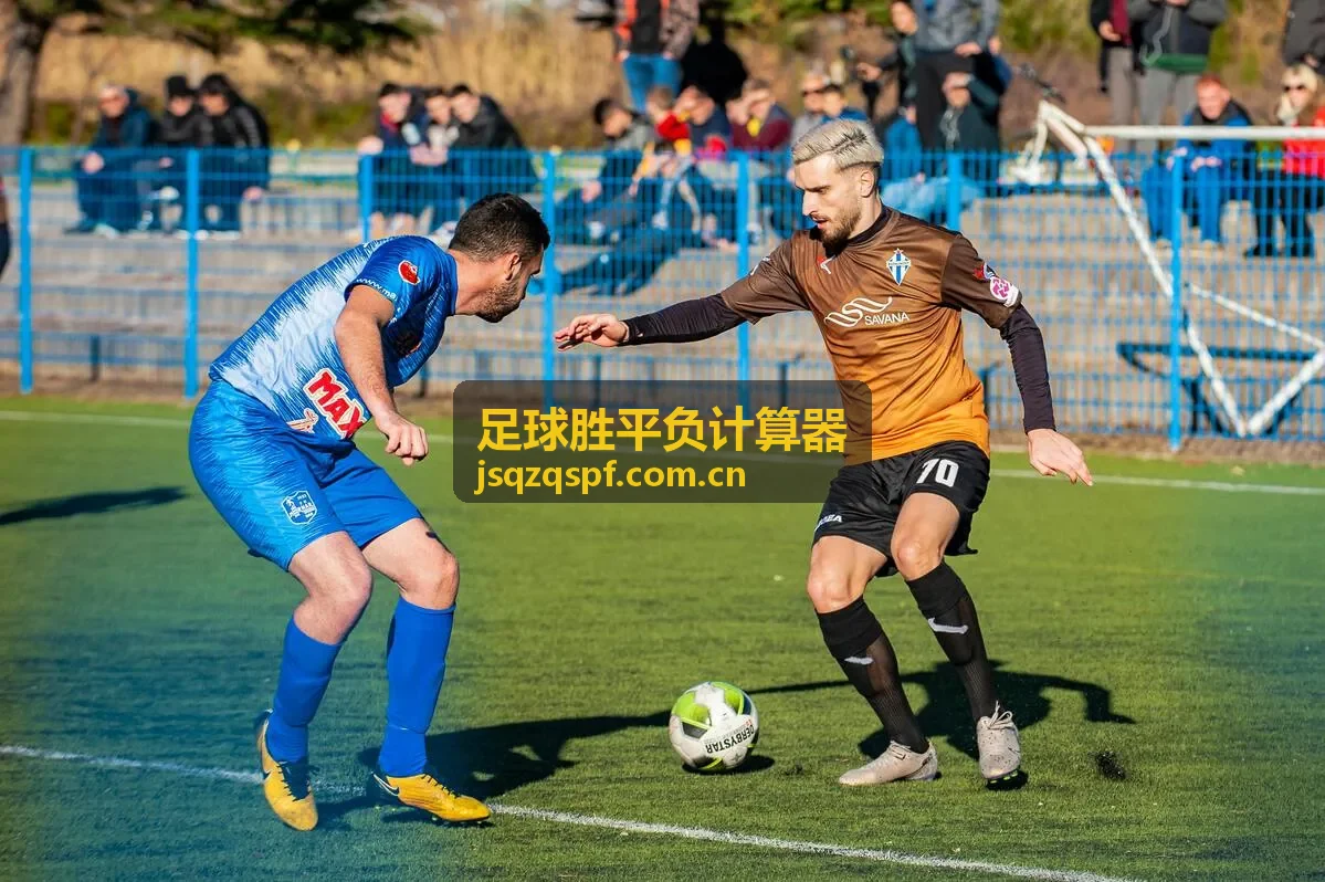 历史数据回溯与胜平负计算器验证